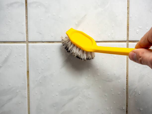 Best Mold Cleaning Services  in Baywood, NY