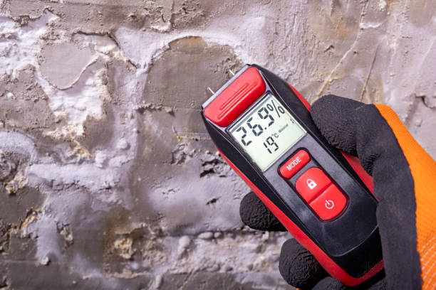 Best Commercial Mold Removal  in Baywood, NY